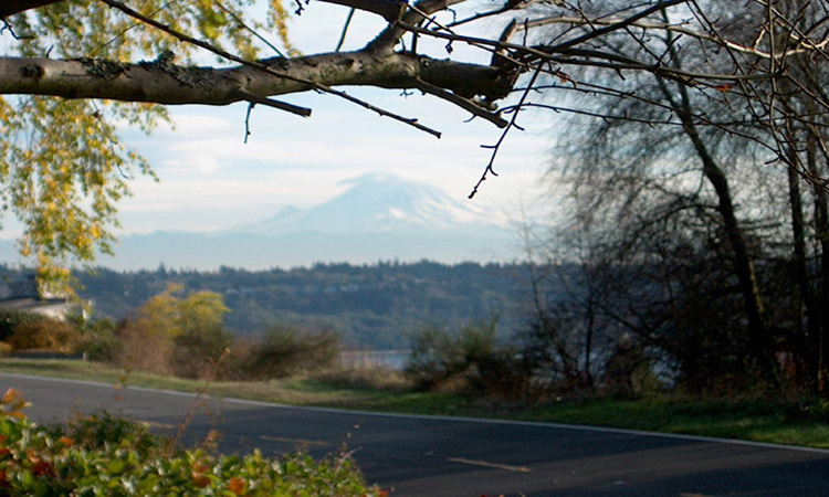 Berkely was not born in the sight of Mt Rainer